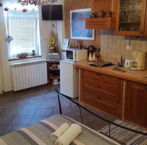 Ruza 3 Apartament Poljane